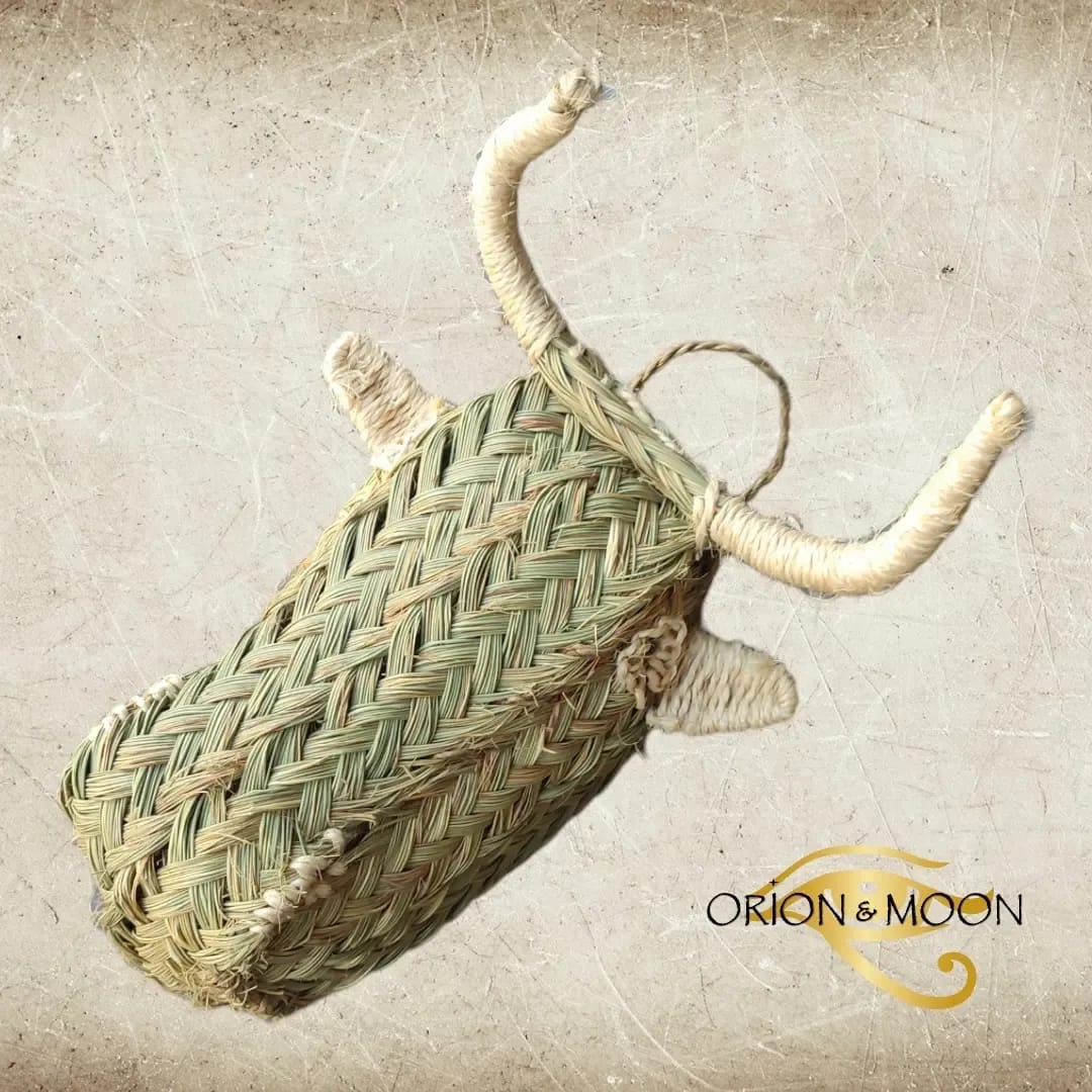 Tête de bœuf en sparte tressé